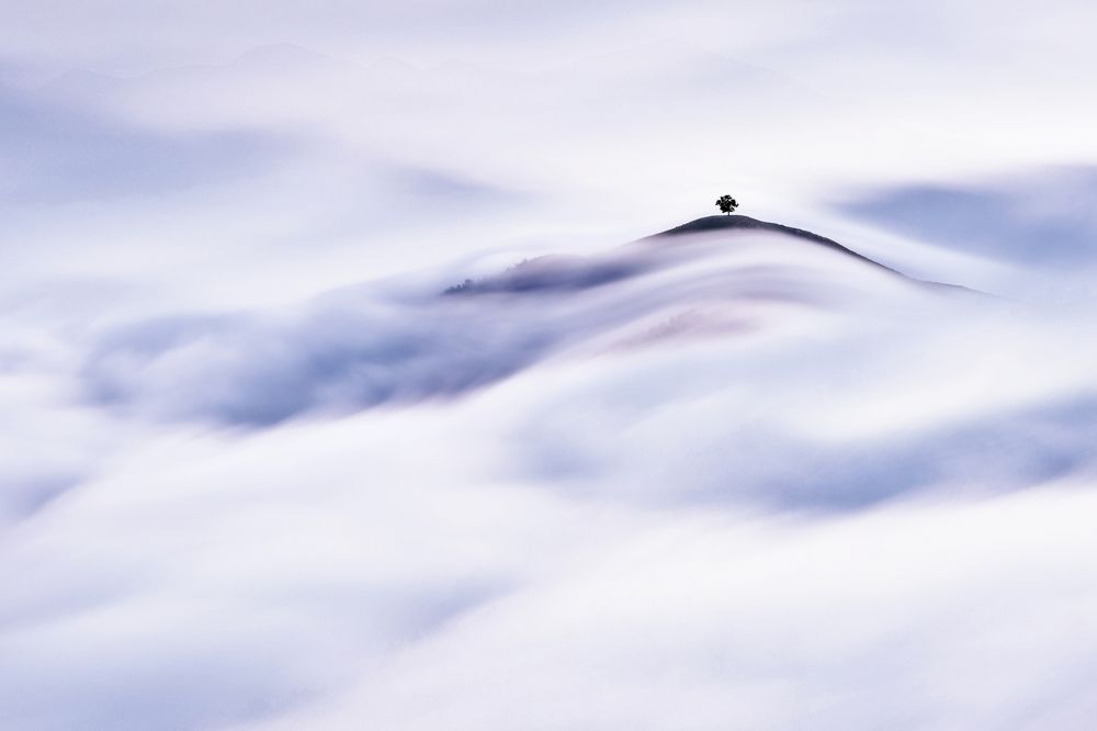 Photograph by Noureddine Belfethi