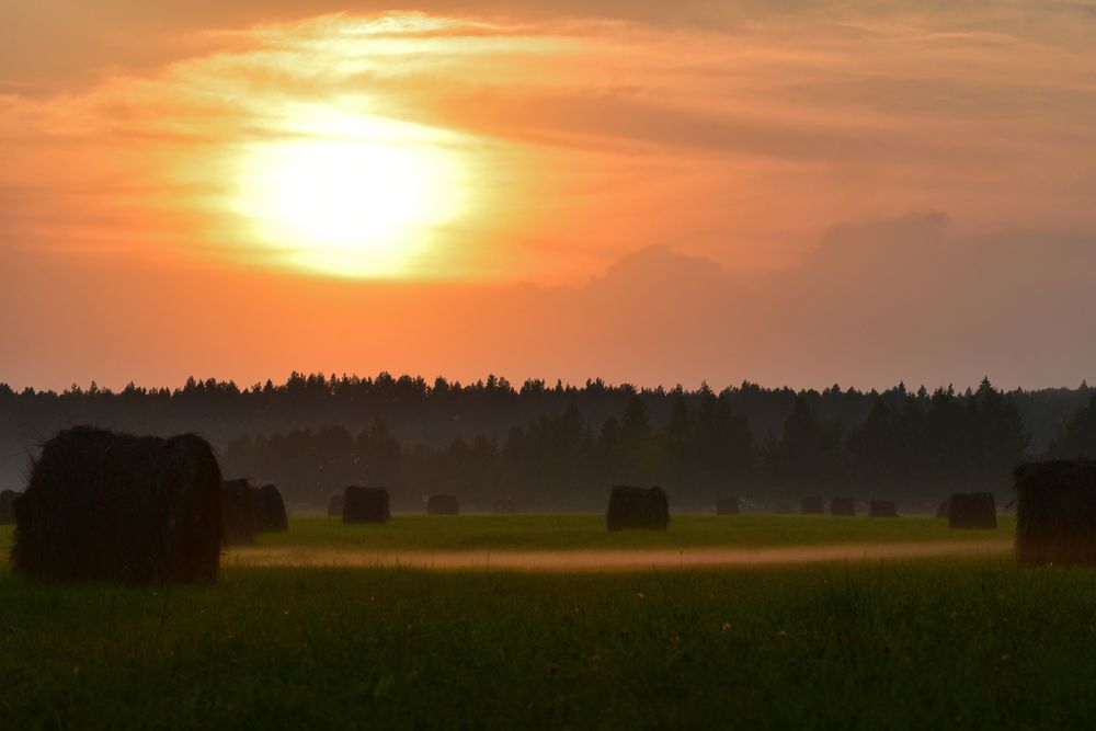 Photograph by Елена Амозова