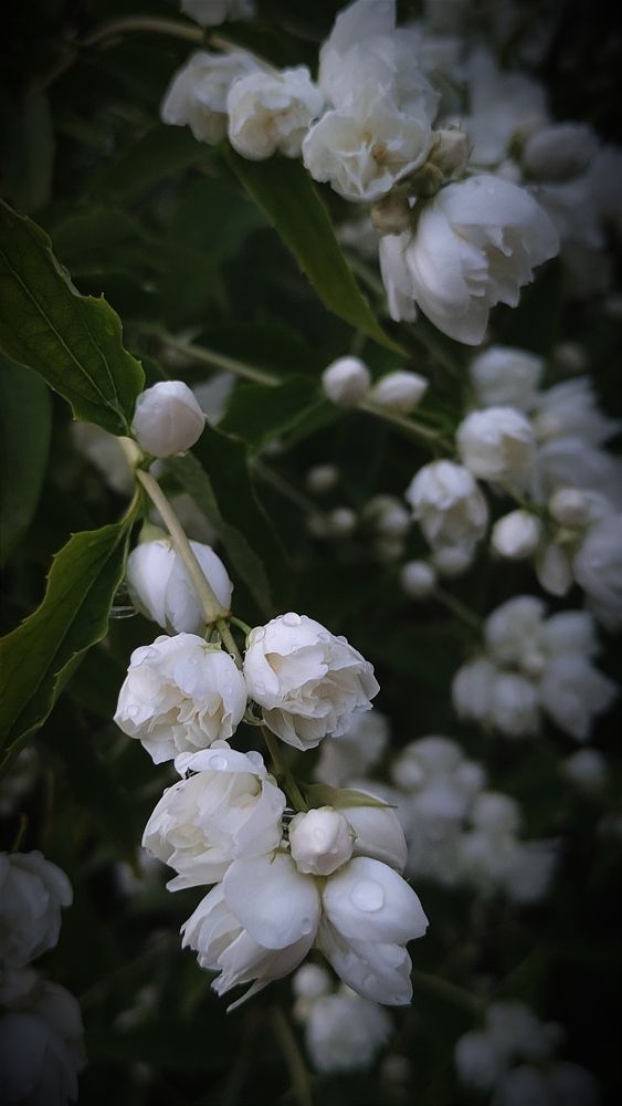 Photograph by Татьяна Штунь