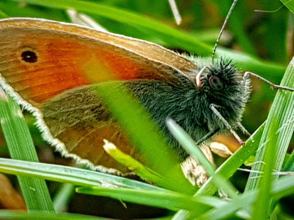 Photograph by Blue Eyes