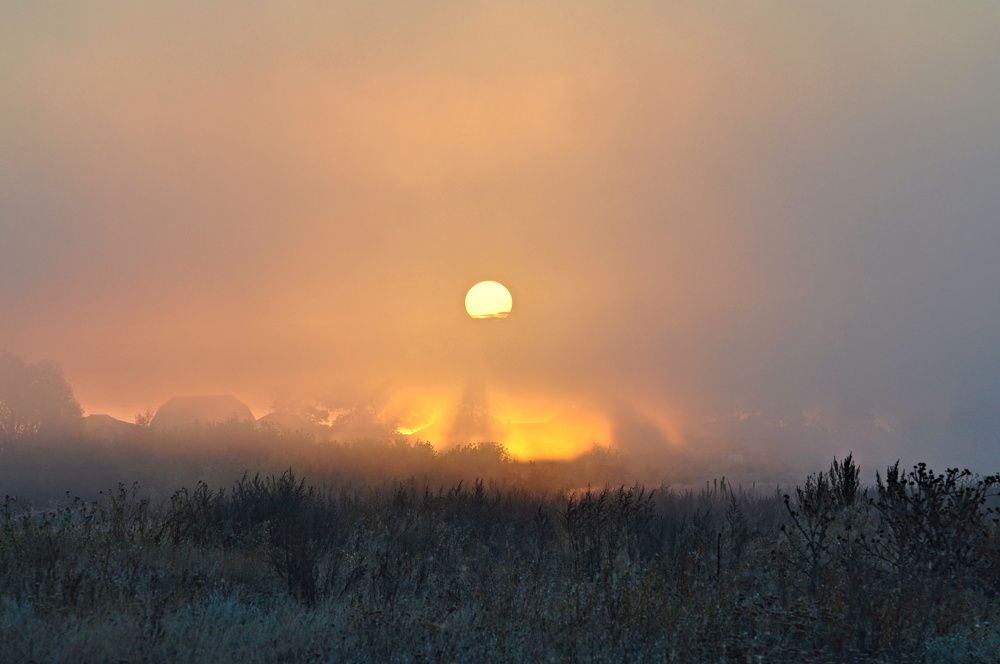 Photograph by Наталья Вострикова