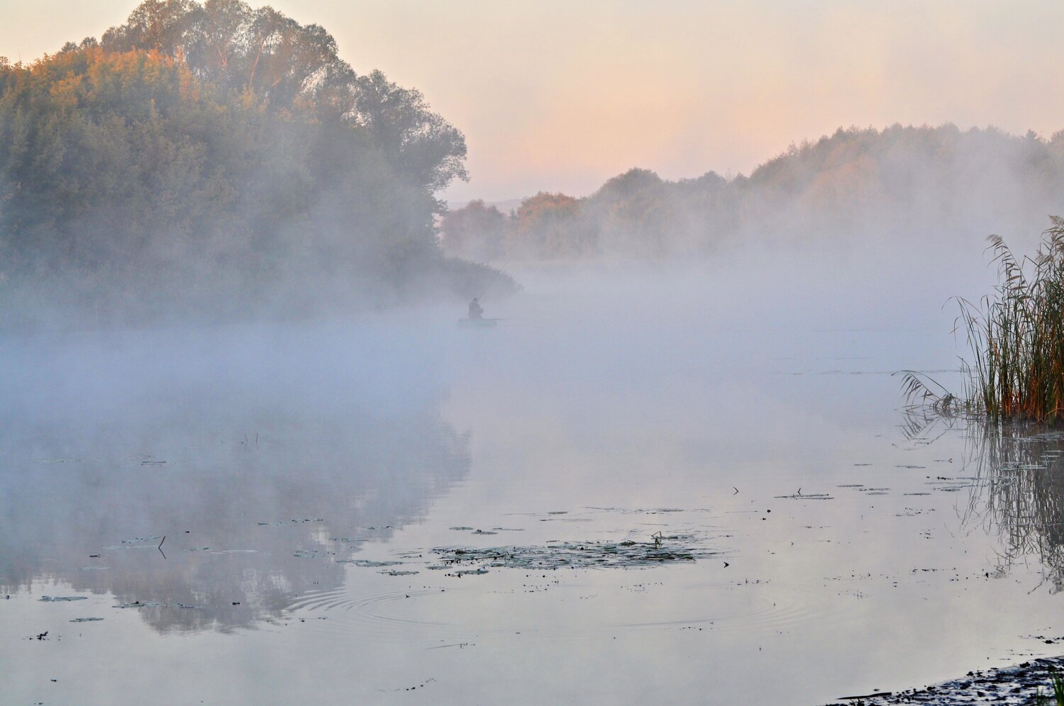 Photo #9168774