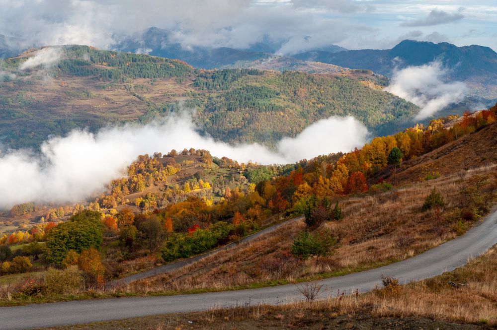 Photograph by Pucs Fongabe