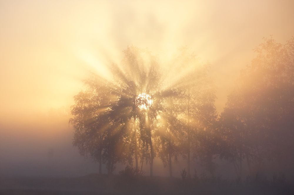 Photograph by Елена Рябцева