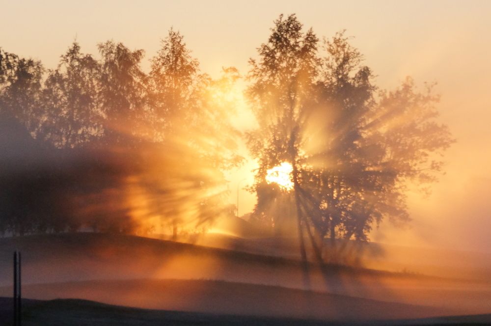 Photograph by Елена Рябцева