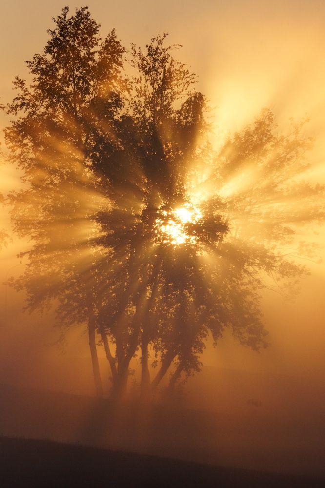 Photograph by Елена Рябцева