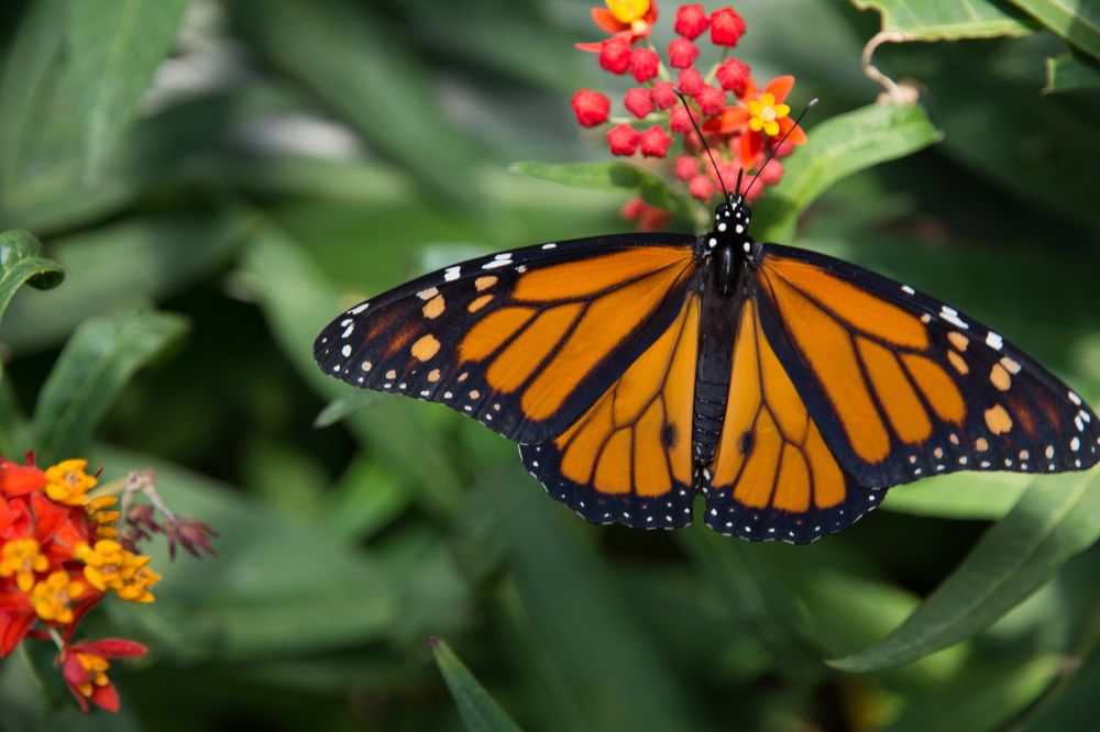 Photograph by Pucs Fongabe