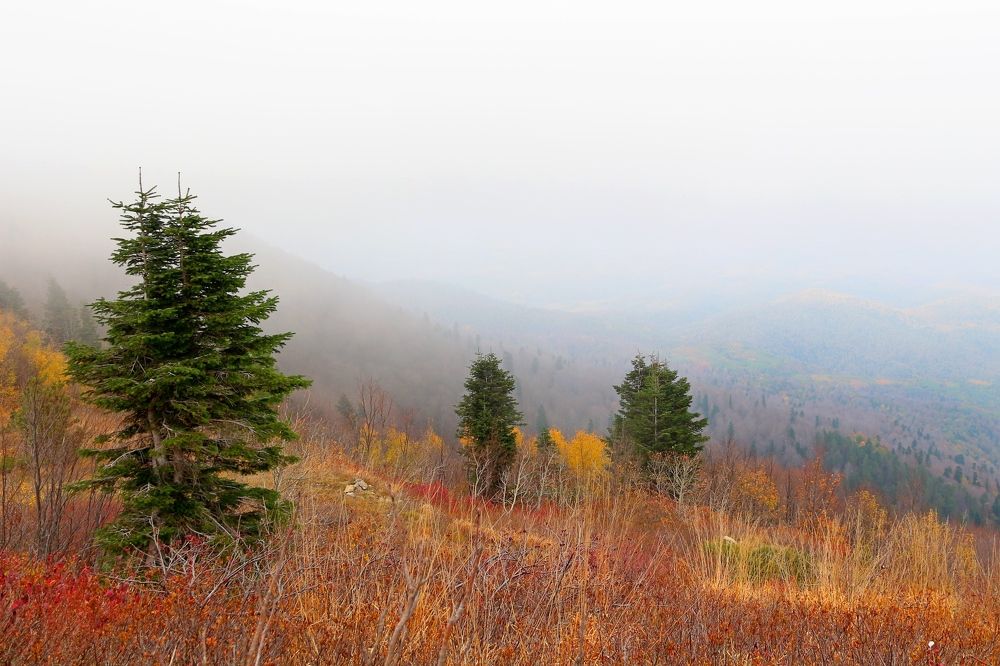 Photograph by Александр Глебов