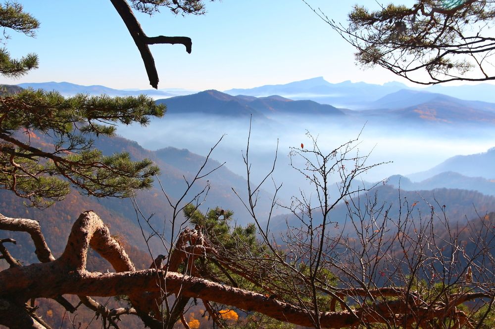 Photograph by Александр Глебов