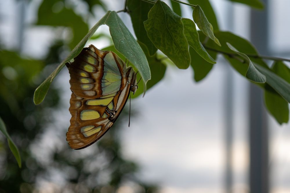 Photograph by Lindsay Panchuk