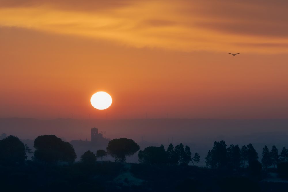 Photograph by Alberto (aavcaptures) Alonso