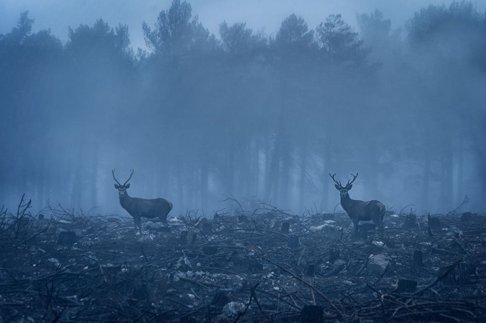 Photograph by Alberto (aavcaptures) Alonso