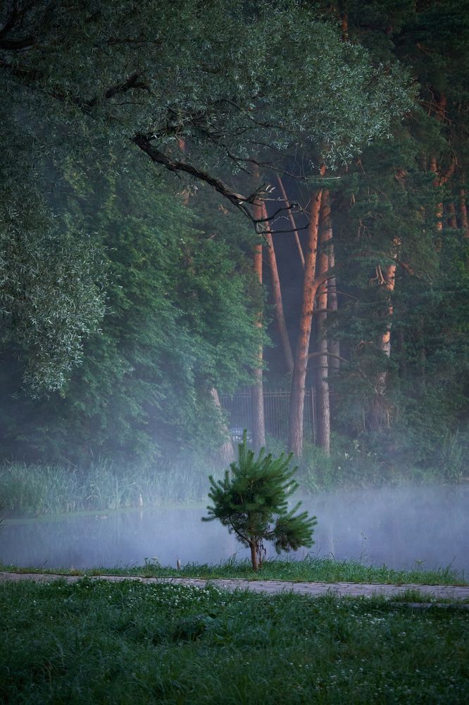 Photo #9168851