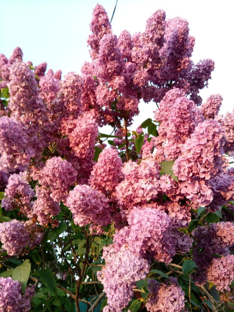 Photograph by Татьяна Пальчикова