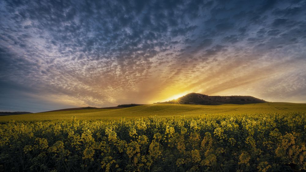 Photograph by Alberto (aavcaptures) Alonso