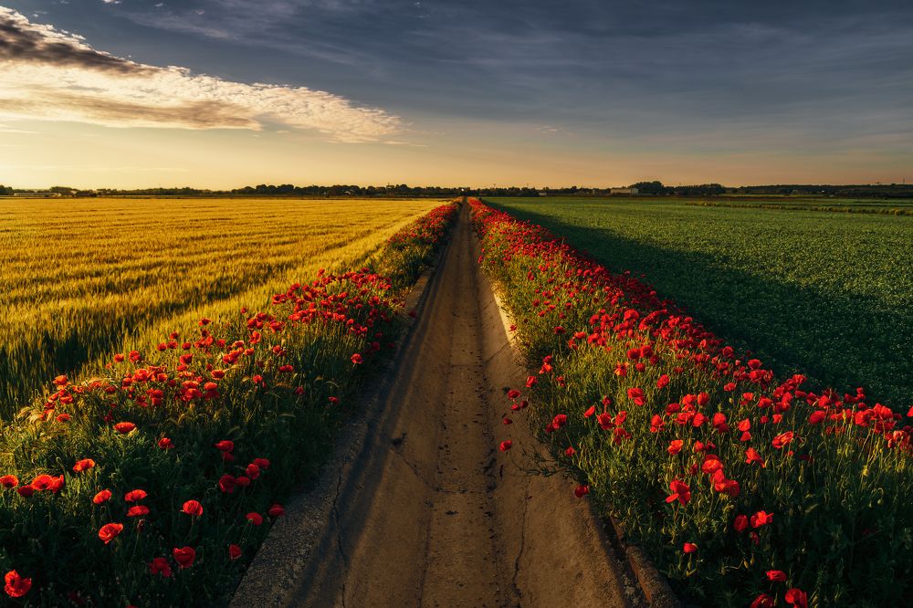 Photograph by Alberto (aavcaptures) Alonso