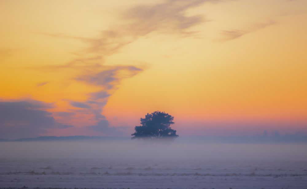 Фотография автора Kamil Knychalski