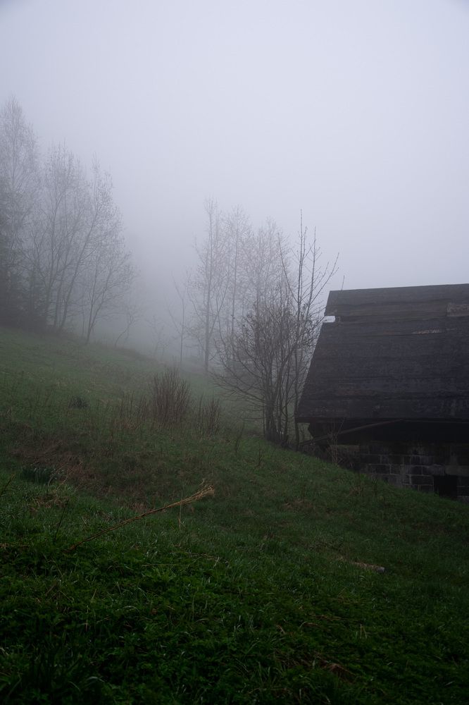 Photograph by Сидоренко Оксана