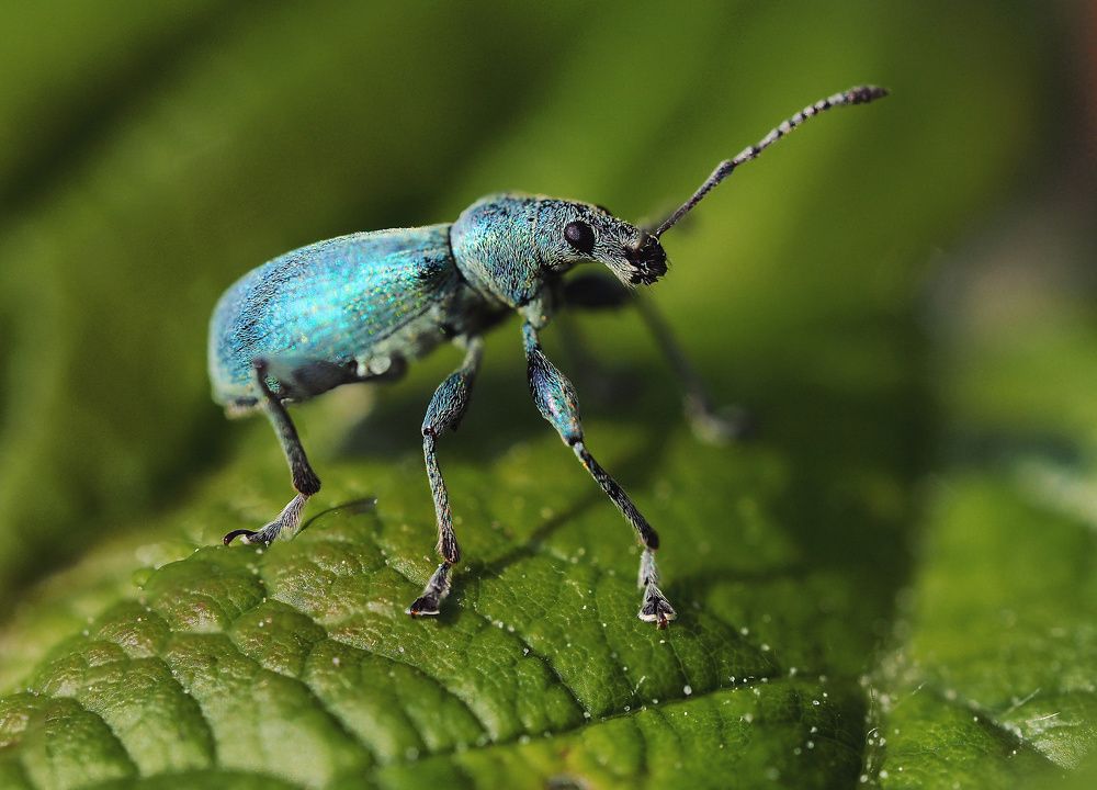 Photograph by Ирина Протченко