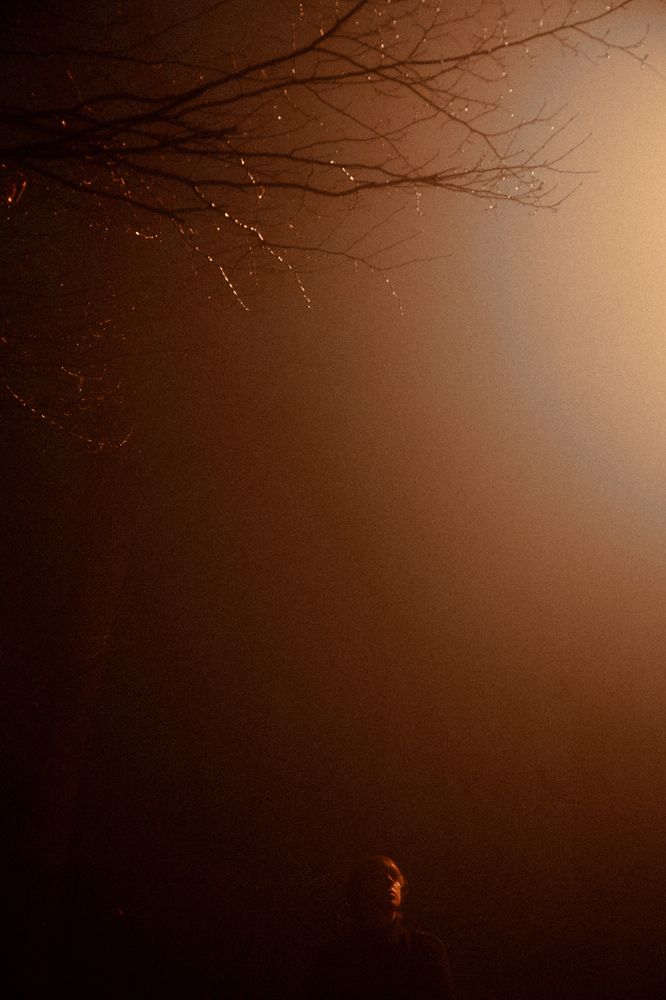 Фотография автора Никита Сергеев