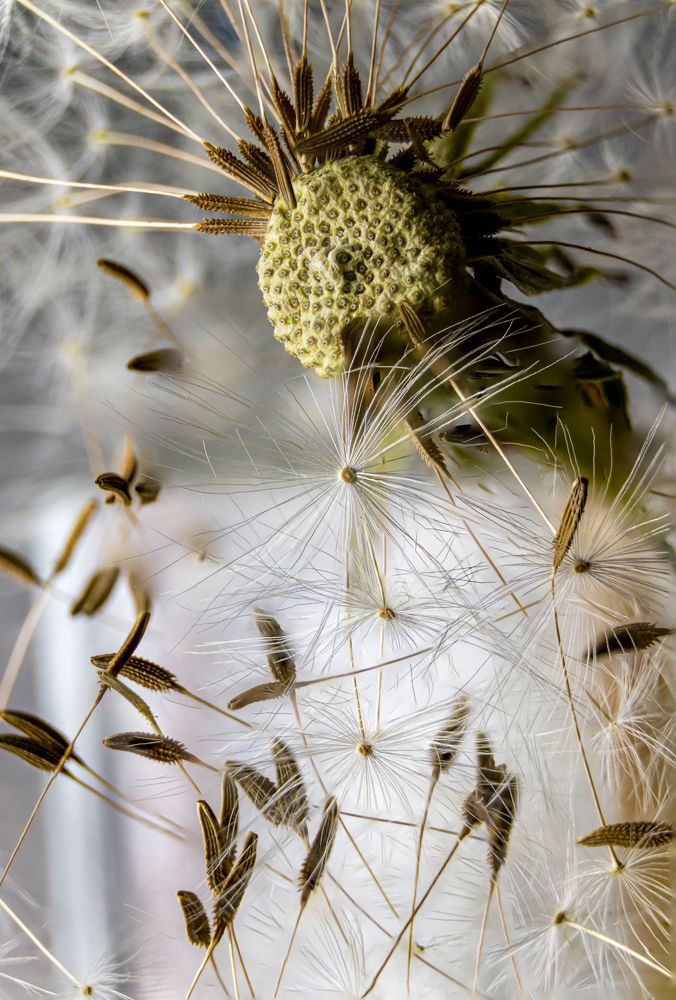 Photograph by Dmitriy Konstantinov