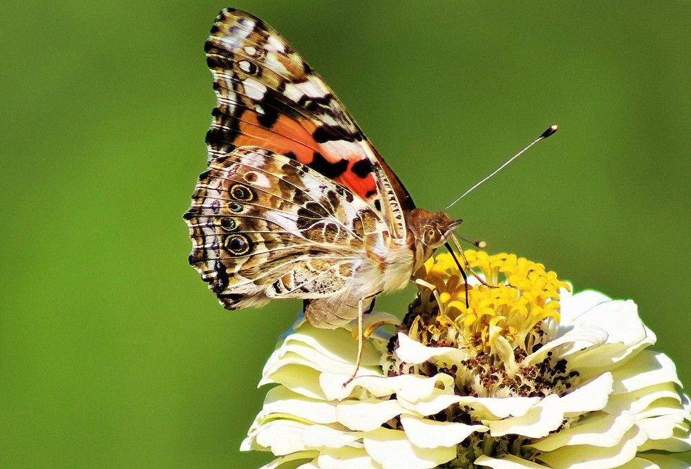 Photograph by Carol Taylor