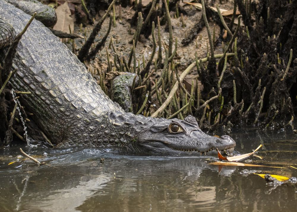 Photograph by Rose-Anne Reyes