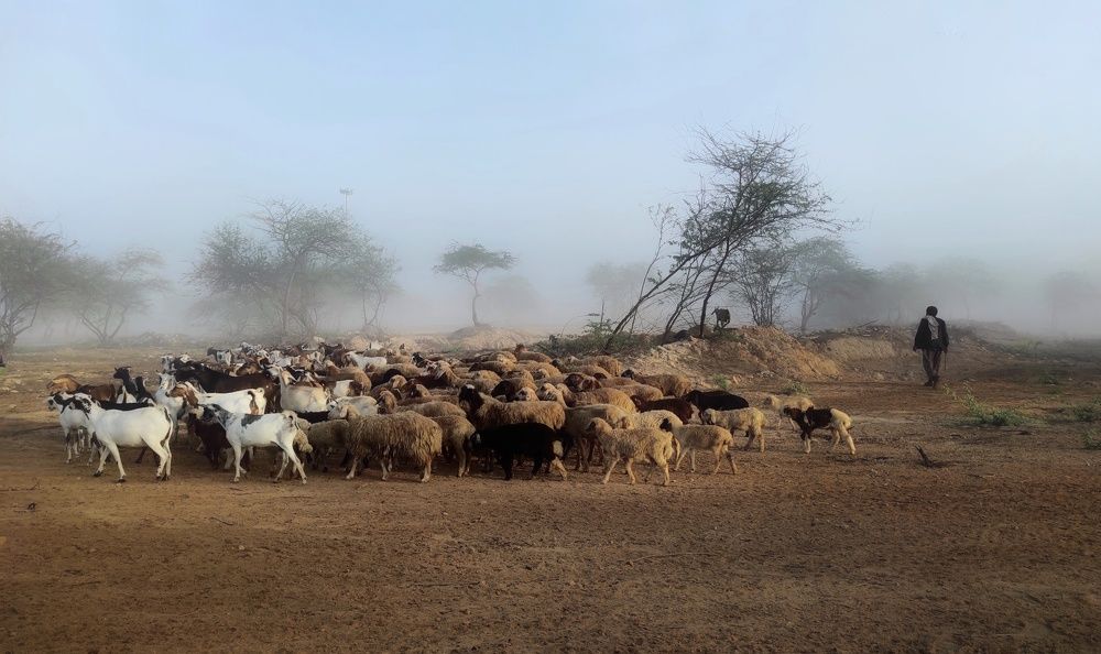 Photograph by Fatemeh Rezaei