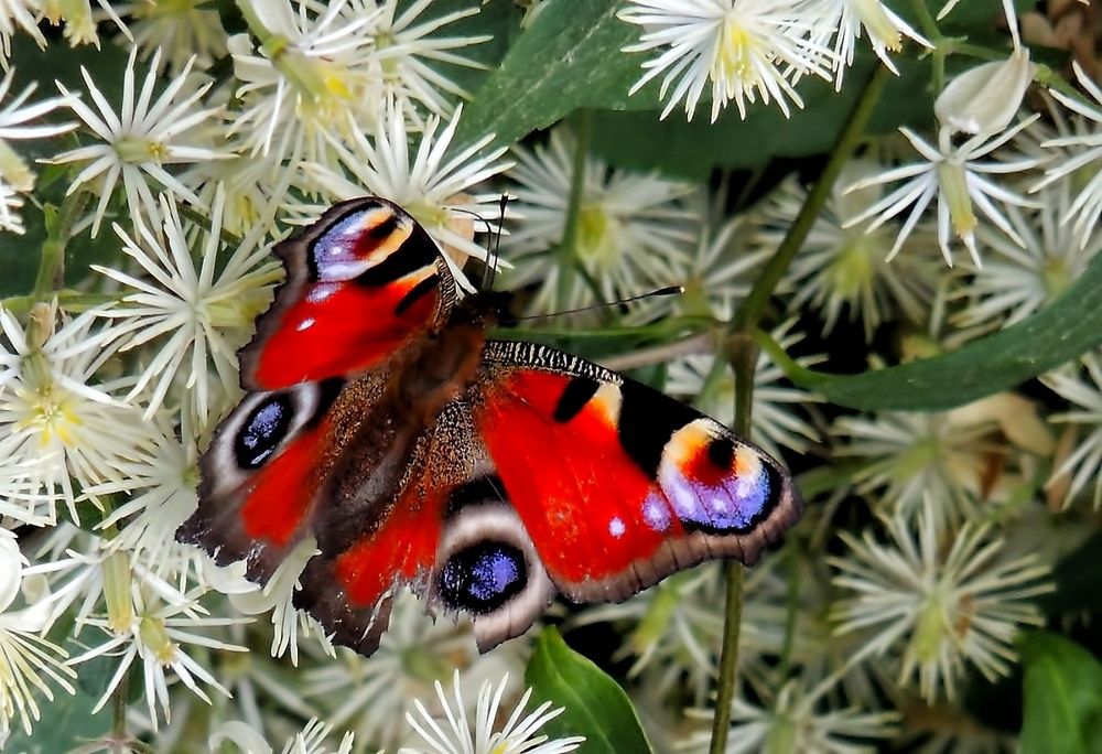 Фотография автора Роман Савоцкий