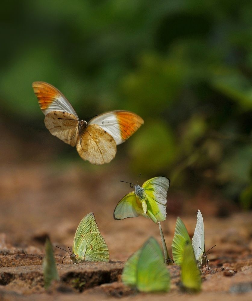 Photograph by George S George