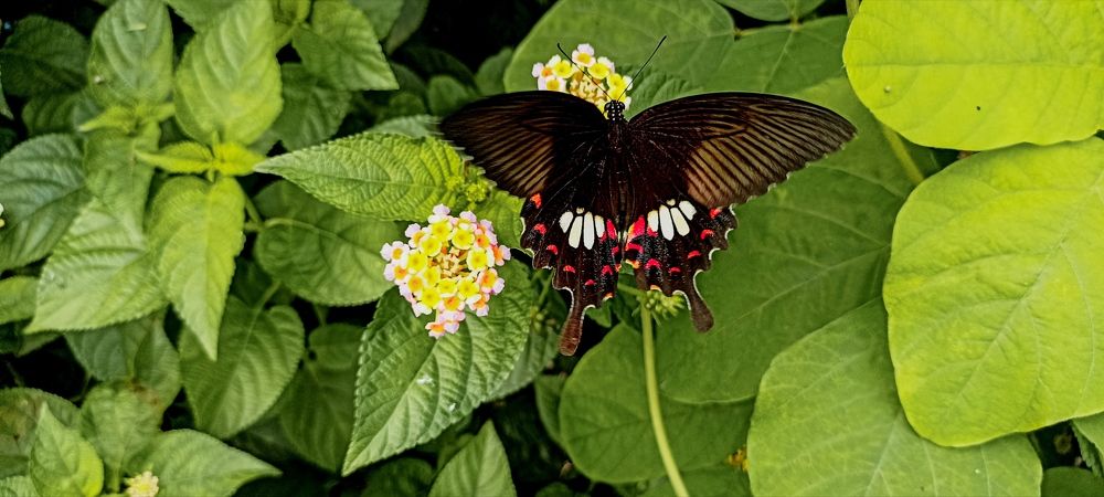 Beauty of nature