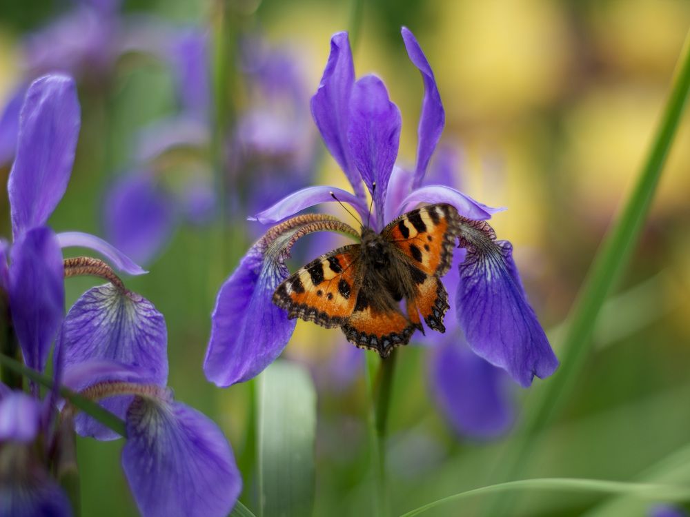 Photograph by Михаил Мостовой