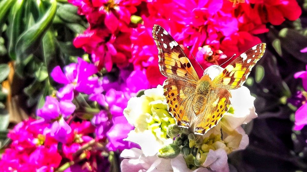 Photograph by Sina Saadati