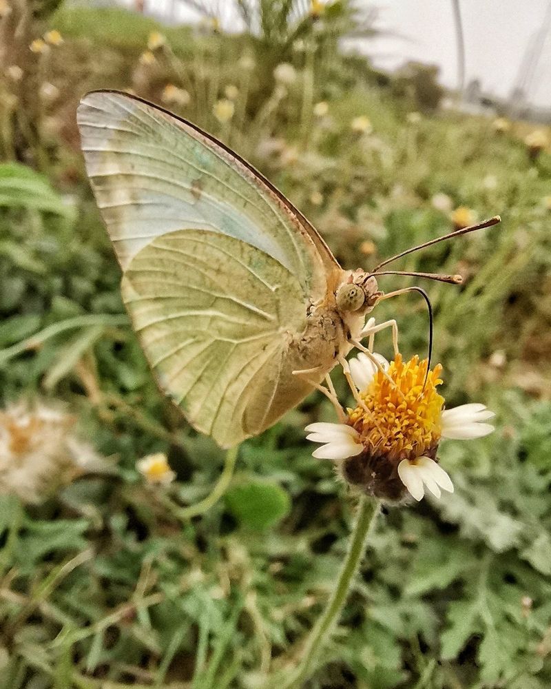 Photograph by Anil Yadav
