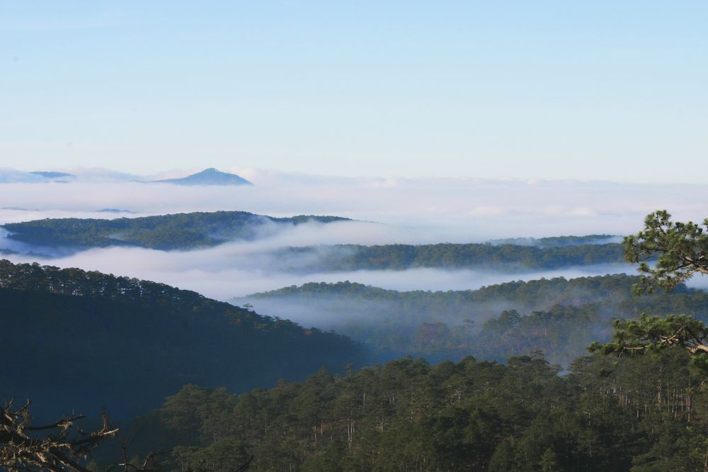 Photograph by Lê Trí