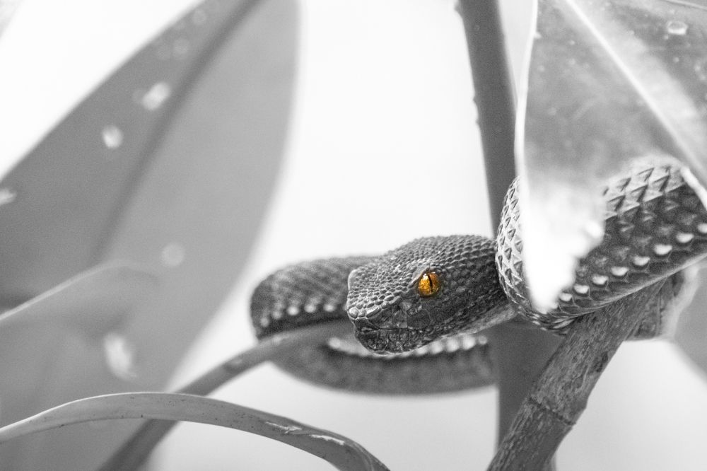 Photograph by Ishaan Shrimali