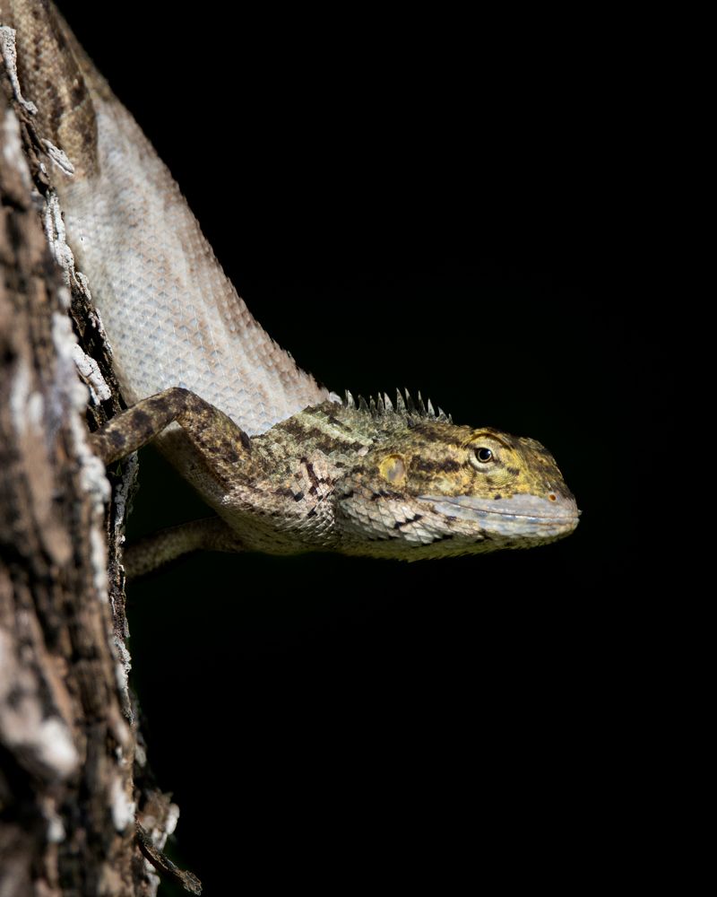 Photograph by Ishaan Shrimali