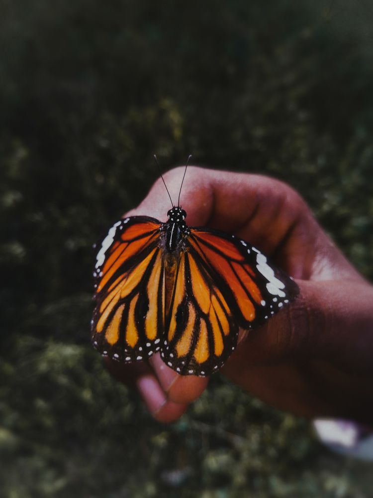 Photograph by Nishant Raj