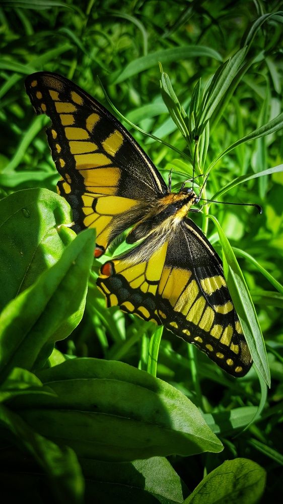 Photograph by Митюшкова Алёна