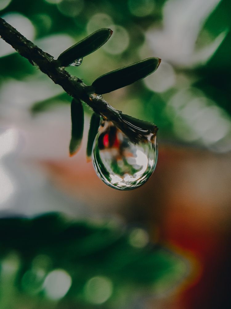 Photograph by Mridhula P M