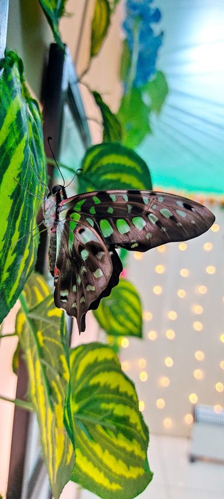 Photograph by Валентин Волк