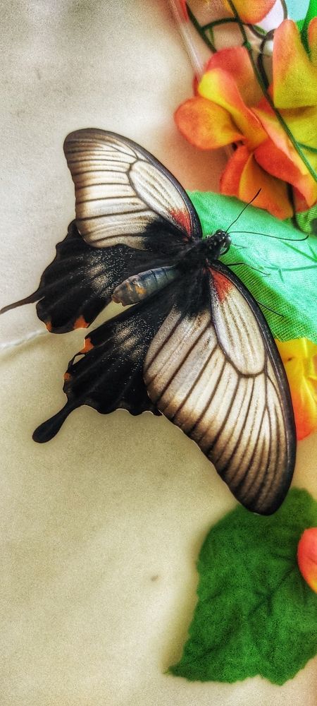 Photograph by Валентин Волк