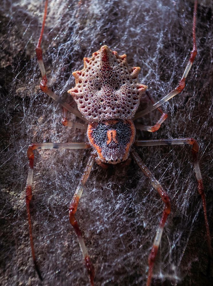 Photograph by sandhya kudli