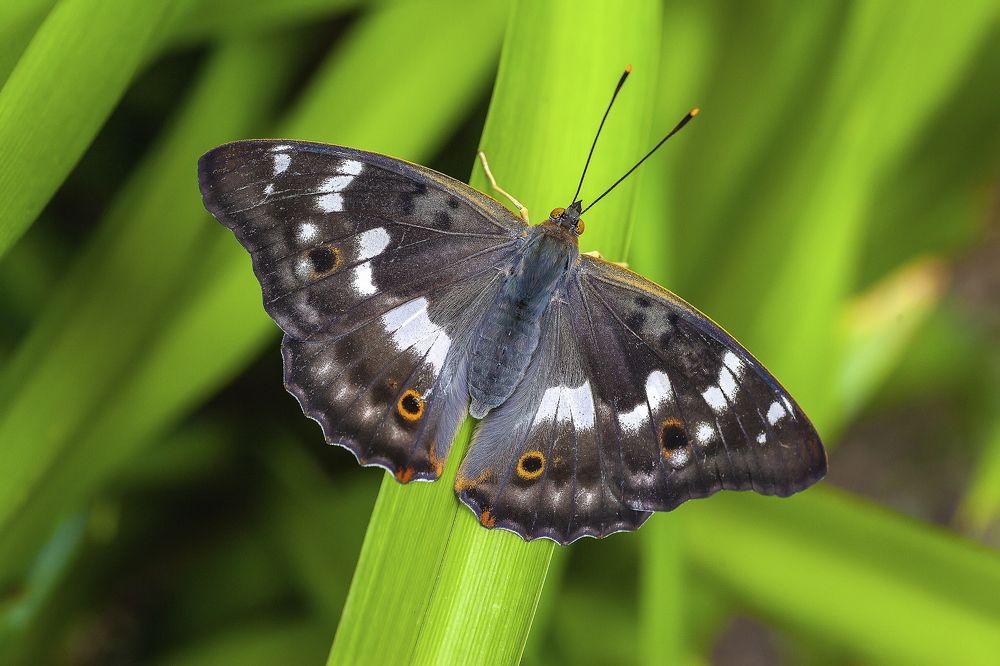 Photograph by Широких Александр