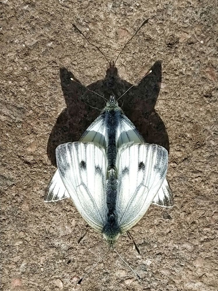 Photograph by Николай Мюллер
