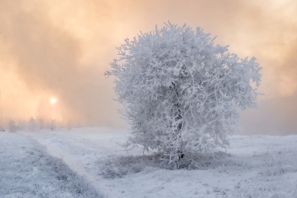 На берегу реки Енисей.