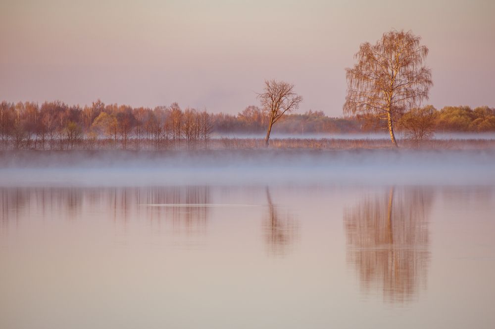 Photograph by Виктор Евстратов