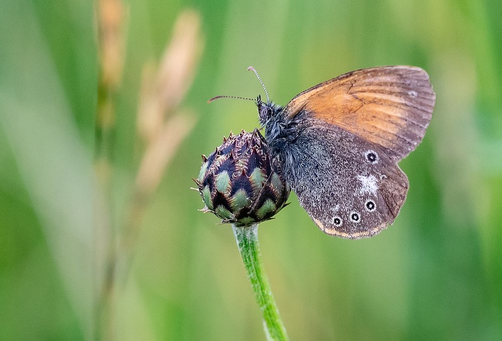 Photograph by Широких Александр