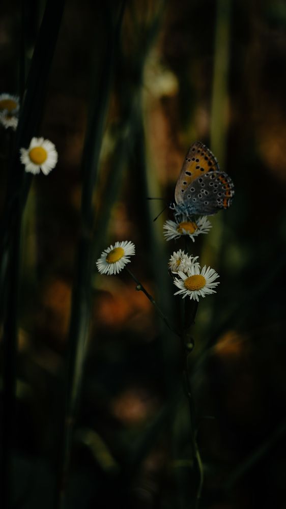 Photograph by Никита Ермаков