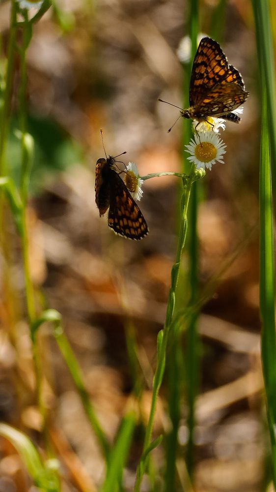 Photograph by Никита Ермаков